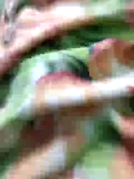 Snapshot of SILENT_FUCKER_01 chatting on 17, 12, 2024 SILENT FUCKER 01 online show from 17, 12, 2024