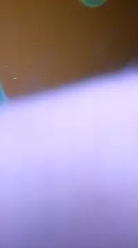 ducicsajsziii online show from 28, 1, 2025