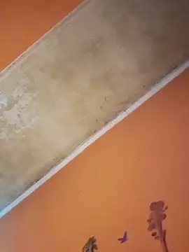 Snapshot of ducicsajsziii chatting on 19, 12, 2025 ducicsajsziii online show from 19, 12, 2025