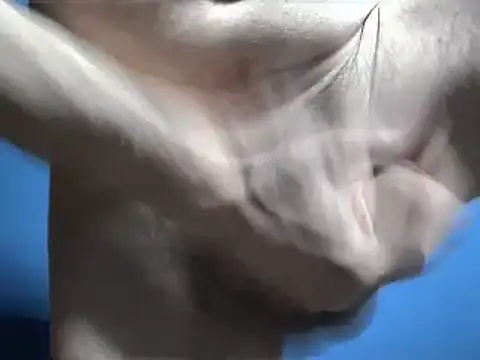 Pol8822 online show from 4, 3, 2026