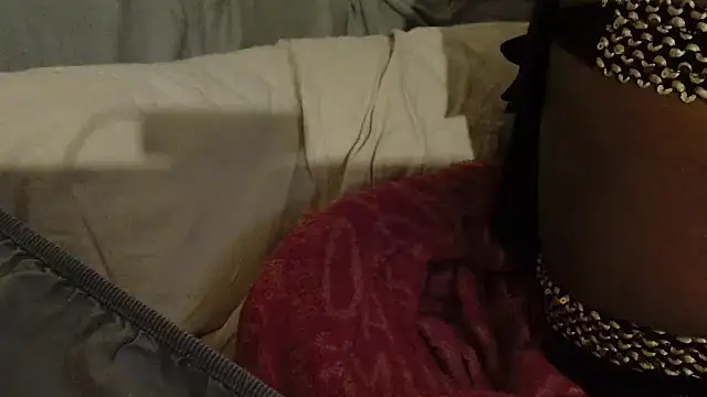 Snapshot of ROXYNL chatting on 8, 2, 2025 ROXYNL online show from 8, 2, 2025