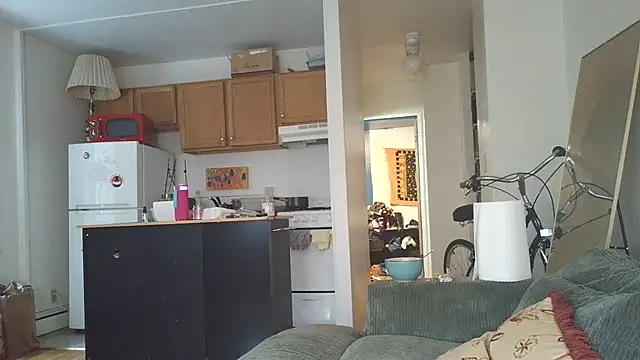 Snapshot of SiminFox chatting on 31, 10, 2025 SiminFox online show from 31, 10, 2025