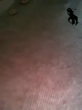 Snapshot of Ruby_bear chatting on 19, 12, 2025 Ruby bear online show from 19, 12, 2025