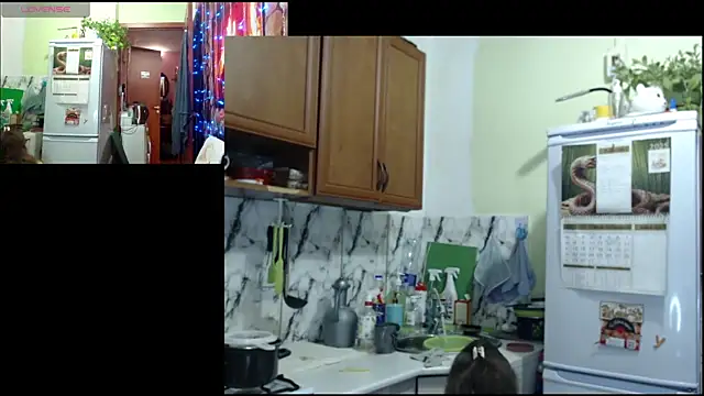 Sakura Green online show from 22, 12, 2025