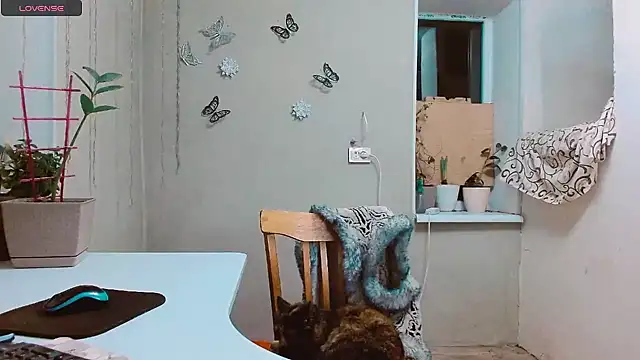 RosaJil online show from 28, 1, 2025