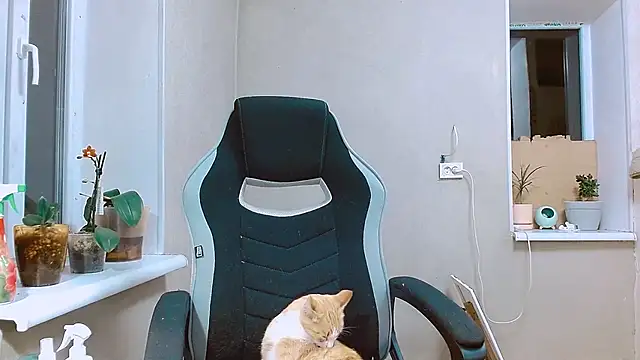 RosaJil online show from 13, 9, 2025