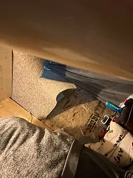 Followthepiper online show from 3, 3, 2025