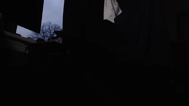 torpedo19086 online show from 12, 3, 2026