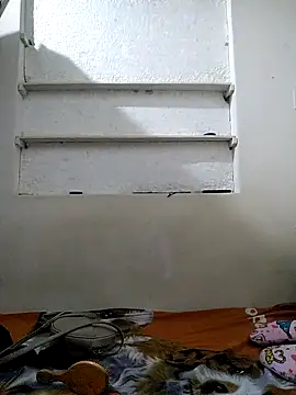 Cameron puppy online show from 1, 5, 2026