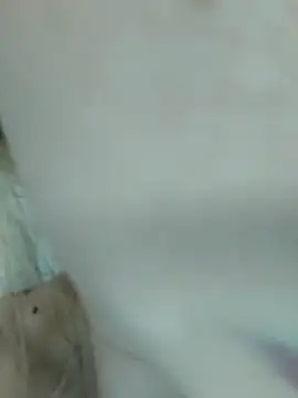 Snapshot of Elza_kom chatting on 1, 3, 2025 Elza kom online show from 1, 3, 2025