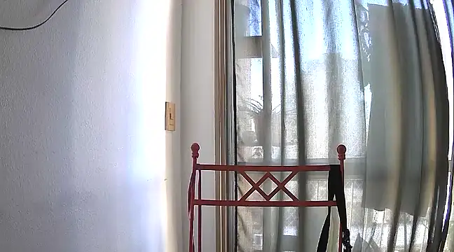 stupid babybird online show from 15, 1, 2025