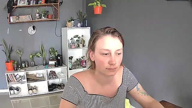 stupid babybird online show from 28, 2, 2025