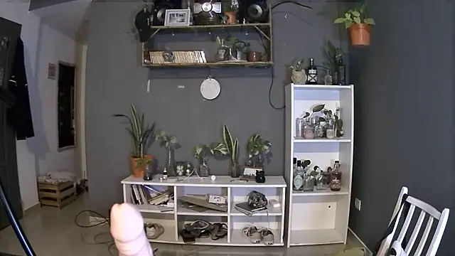 stupid babybird online show from 4, 3, 2025