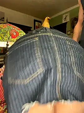 Snapshot of sexyasscougar chatting on 29, 11, 2025 sexyasscougar online show from 29, 11, 2025