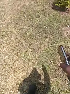 NattyDreadKenya online show from 29, 7, 2026