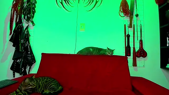 Snapshot of irregular_fetish_ chatting on 26, 2, 2026 irregular fetish online show from 26, 2, 2026