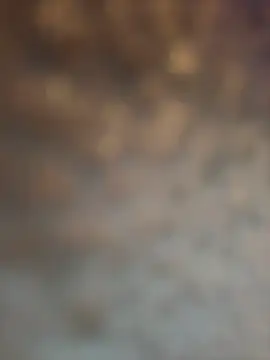 Snapshot of Atlantalitty chatting on 21, 1, 2025 Atlantalitty online show from 21, 1, 2025