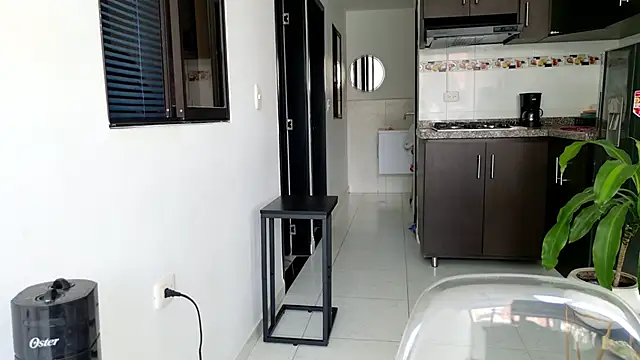 grey   27 online show from 28, 2, 2025