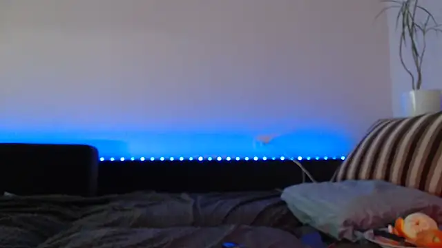 Jinna milli online show from 4, 2, 2025