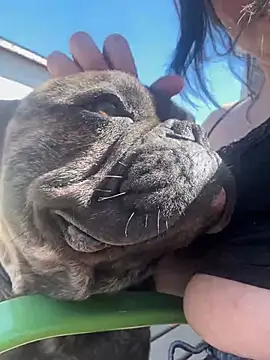 skinwalkingzombie online show from 29, 4, 2026