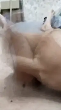 quierodarleche69 online show from 20, 1, 2025