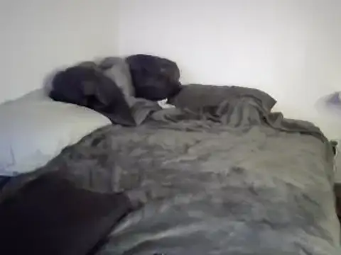 Iliketocooksquirt25 online show from 3, 3, 2025