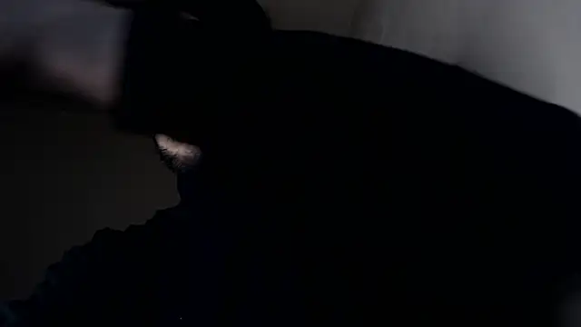 Snapshot of henryaxe chatting on 17, 1, 2026 henryaxe online show from 17, 1, 2026