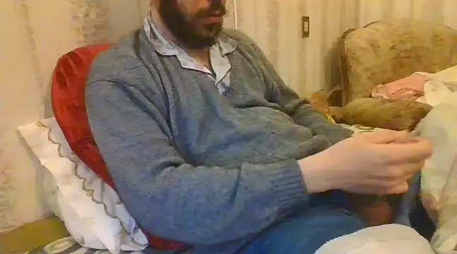 tozebrito hd online show from 31, 12, 2024