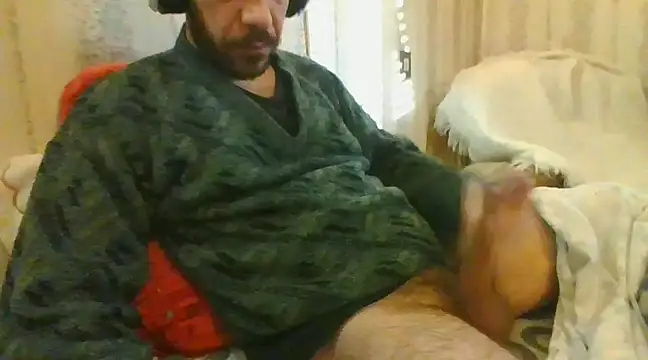 tozebrito hd online show from 6, 2, 2025