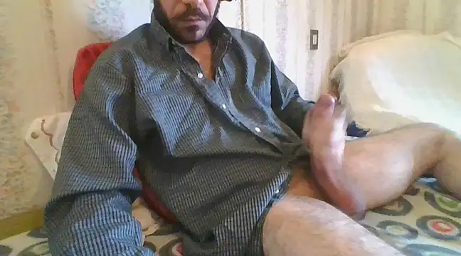 tozebrito hd online show from 9, 2, 2025