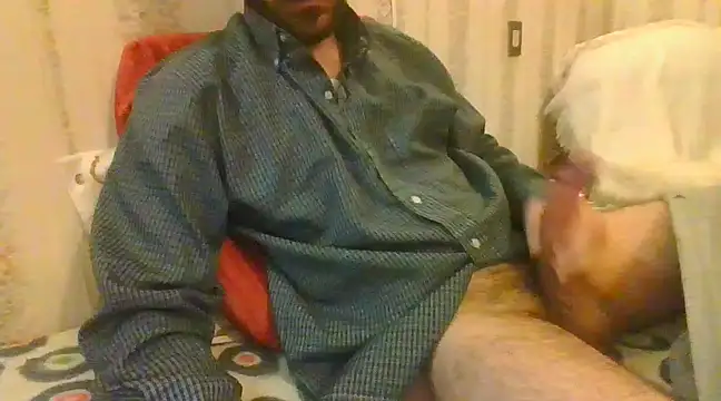 tozebrito hd online show from 16, 2, 2025