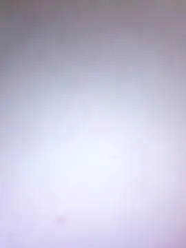 BlackCurly online show from 24, 5, 2026