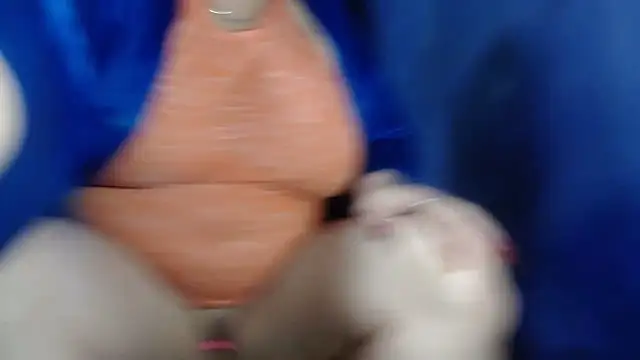 CamelliaLong online show from 6, 3, 2025