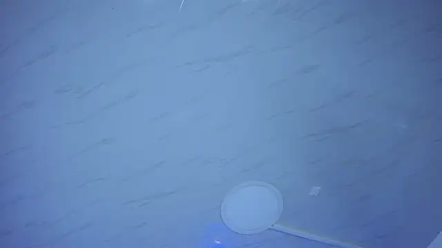 Amareto  online show from 31, 1, 2026