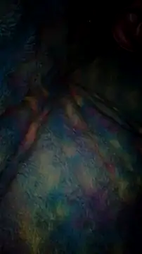 Snapshot of Moreno1813 chatting on 18, 9, 2025 Moreno1813 online show from 18, 9, 2025