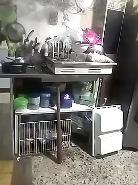 cristalzeus online show from 11, 11, 2025