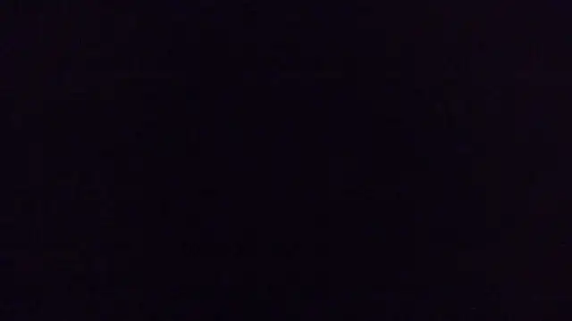 Snapshot of FISTCAMM chatting on 13, 3, 2025 FISTCAMM online show from 13, 3, 2025