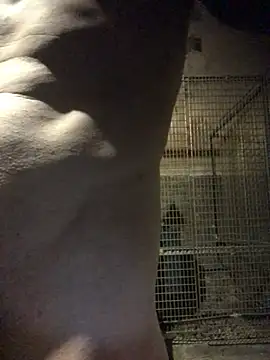 Josele1981 online show from 1, 5, 2026