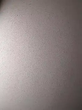 Dogz n daugthers online show from 17, 12, 2024