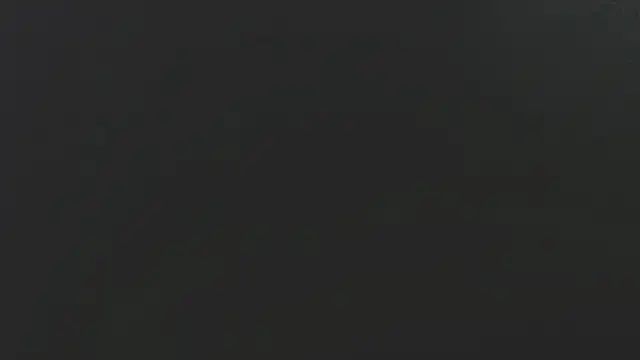 Dogz n daugthers online show from 2, 2, 2025