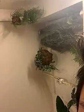 IroManager online show from 15, 9, 2025