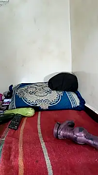 trans511 online show from 9, 10, 2025