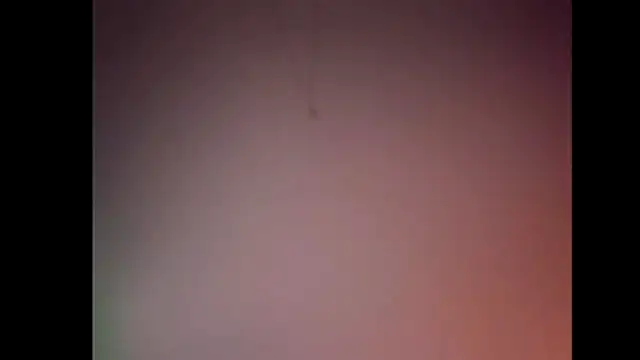 Snapshot of Pegg-fist-me chatting on 28, 11, 2025 Pegg-fist-me online show from 28, 11, 2025