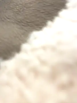 NewLale online show from 12, 10, 2025