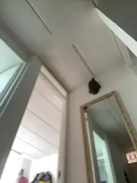 Mila Morgan online show from 27, 2, 2025