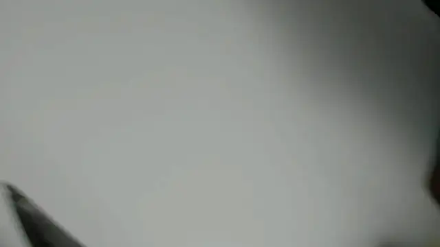 canela wet online show from 21, 2, 2025