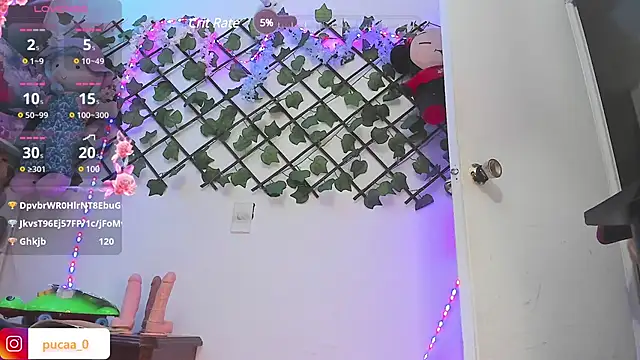 Pucaa  online show from 20, 12, 2024