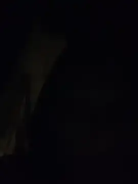 Boysex227 online show from 14, 11, 2025