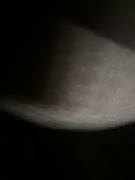 Bongcrush 3 online show from 8, 3, 2025