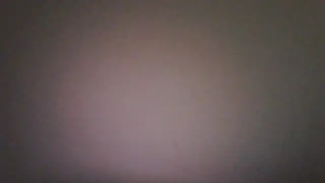 Vekie 007 online show from 4, 7, 2026